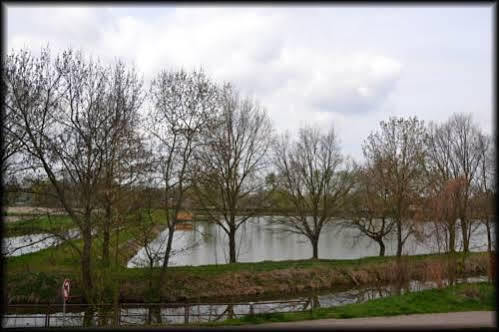 Penzion U Kohoutka Pardubice Exterior foto